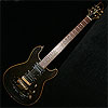 Fernandes APG-100